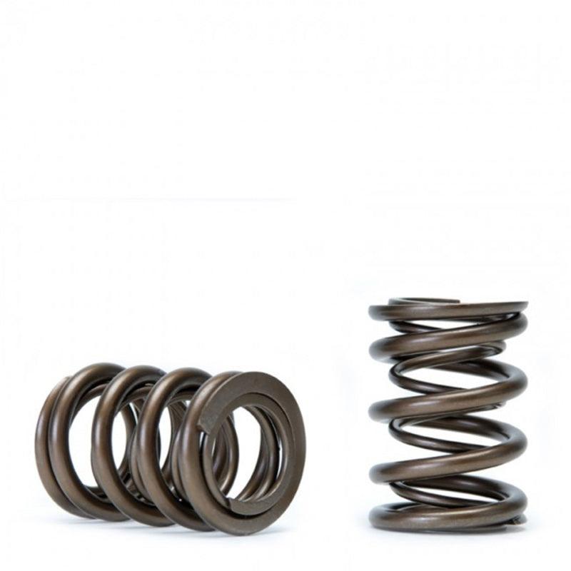 Skunk2 Tuner Series Honda/Acura (B16A/ B17A/ B18C) DOHC VTEC Alpha Valve Spring Set (Dual Springs) - Torque Motorsport