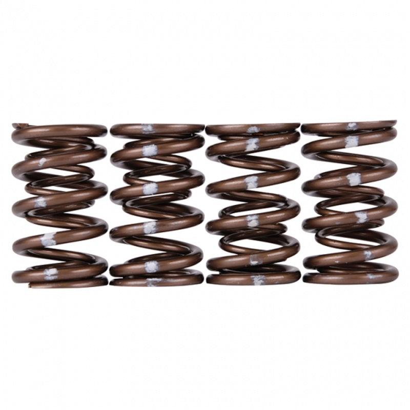 Skunk2 Pro Series Honda/Acura B-Series VTEC XP Valve Spring Set (Dual Springs) - Torque Motorsport