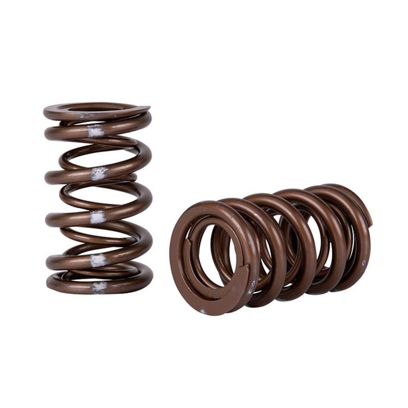 Skunk2 Pro Series Honda/Acura K-Series i-VTEC XP Valve Spring Set (Dual Springs) - Torque Motorsport