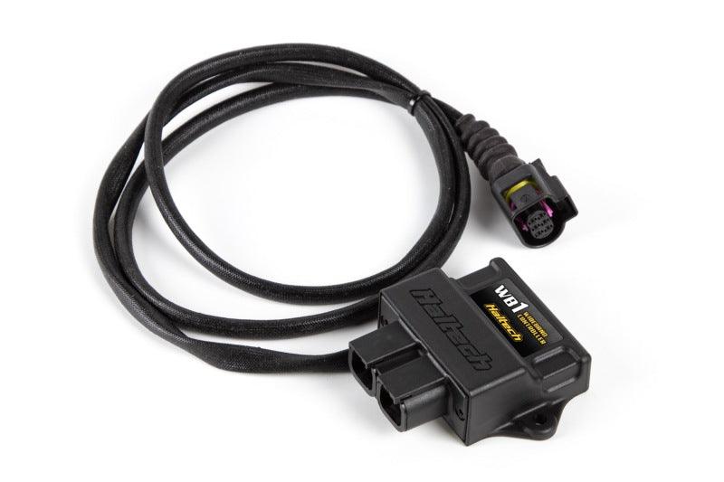 Haltech WB1 Single Channel CAN O2 Wideband Controller Kit - Torque Motorsport